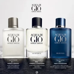 Armani Beliebtes Parfum^Acqua di Giò Homme Profondo Eau de Parfum Spray - nachfüllbar