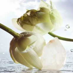 Bvlgari Beliebtes Parfum^MAN Rain Essence Eau de Parfum Spray