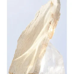 Bvlgari Beliebtes Parfum^Omnia Crystalline Eau de Toilette Spray