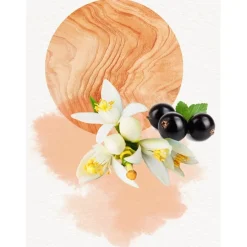 Annayake Eau De Parfum^Dojou for Her Eau de Parfum Spray von