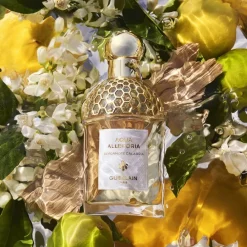 GUERLAIN Beliebtes Parfum^Aqua Allegoria Bergamote Calabria Eau de Toilette Spray