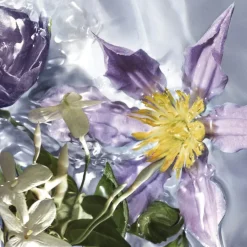 GUERLAIN Eau De Toilette^Aqua Allegoria Flora Salvaggia Eau de Toilette Spray