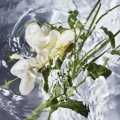 GUERLAIN Beliebtes Parfum^Aqua Allegoria Herba Fresca Eau de Toilette Spray