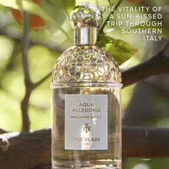 GUERLAIN Beliebtes Parfum^Aqua Allegoria Mandarine Basilic Eau de Toilette Spray