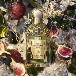 GUERLAIN Beliebtes Parfum^Aqua Allegoria Nerolia Vetiver Forte Eau de Parfum Spray