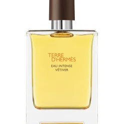 Hermès Eau De Parfum^Hermès Terre d'Hermès Eau Intense Vetiver Eau de Parfum Spray