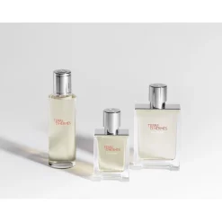 Hermès Eau De Parfum^Hermès Terre d'Hermès Eau Givrée Eau de Parfum Spray