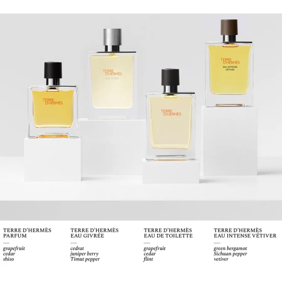 Hermès Eau De Parfum^Hermès Terre d'Hermès Eau Givrée Eau de Parfum Spray