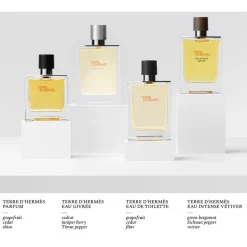 Hermès Eau De Parfum^Hermès Terre d'Hermès Eau Givrée Eau de Parfum Spray