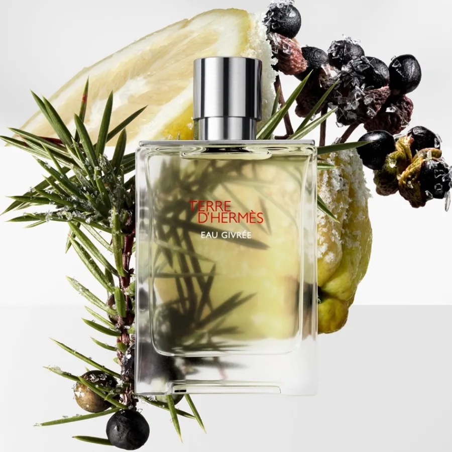 Hermès Eau De Parfum^Hermès Terre d'Hermès Eau Givrée Eau de Parfum Spray