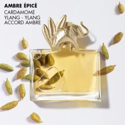 KENZO Eau De Parfum^JUNGLE Eau de Parfum Spray von