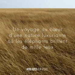 KENZO Eau De Parfum^JUNGLE Eau de Parfum Spray von