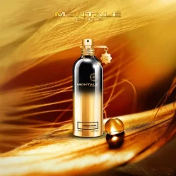 Montale Beliebtes Parfum^Ambra Amber Musk Eau de Parfum Spray