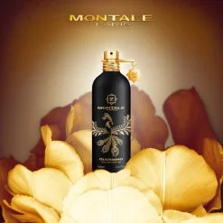Montale Eau De Parfum^Oud Oudrising Eau de Parfum Spray