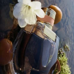 Chlou00E9 Beliebtes Parfum^Nomade Eau de Parfum Spray von Chloé