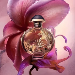 Rabanne Beliebtes Parfum^Olympéa Solar Eau de Parfum Spray Intense