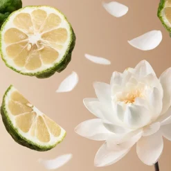 RITUALS Beliebtes Parfum^Soleil d'Or Eau de Parfum Spray