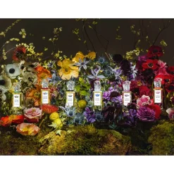 Sisley Eau De Toilette^Les Eaux Rêvées L'Eau Rêvée d'Aria Eau de Toilette Spray