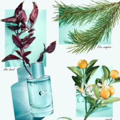 Tiffany u0026 Co. Eau De Parfum^Tiffany & Love For Her Eau de Parfum Spray von Tiffany & Co.