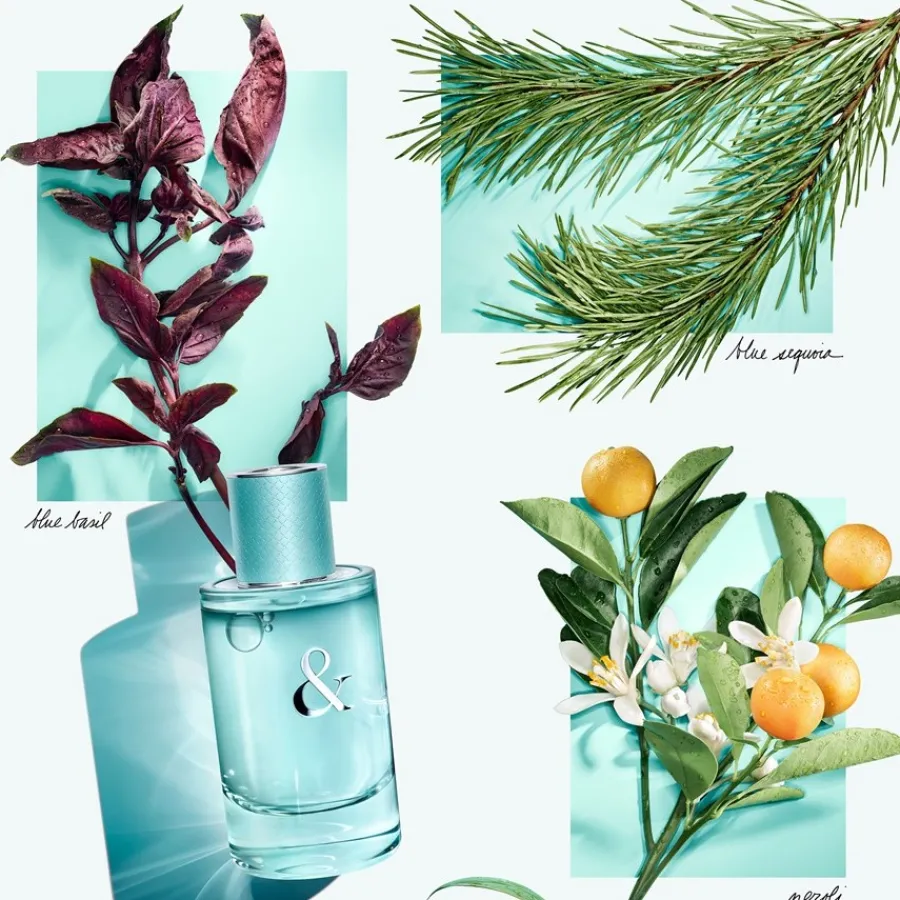 Tiffany u0026 Co. Eau De Parfum^Tiffany & Love For Her Eau de Parfum Spray von Tiffany & Co.