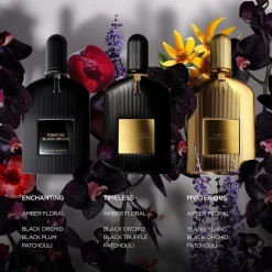 Tom Ford Beliebtes Parfum^Signature Black Orchid Eau de Parfum Spray