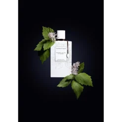 Van Cleef u0026 Arpels Eau De Parfum^Van Cleef & Arpels Collection Extraordinaire Patchouli Blanc Eau de Parfum Spray